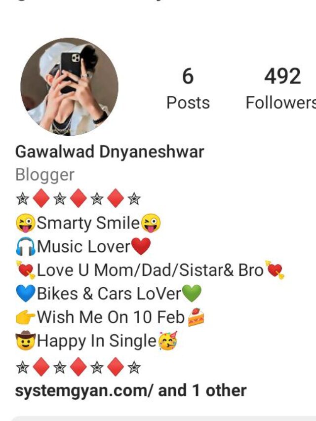 शानदार  6+ Instagram Bio For Boys